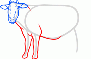 kak narisovat korovu1094